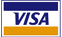 Visa Payment Icon