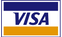 Visa Payment Icon