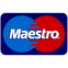 Maestro Payment Icon