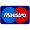 Maestro Payment Icon