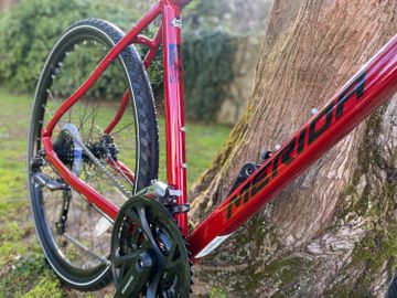 A close up of a Hybrid bike leaning up against a tree