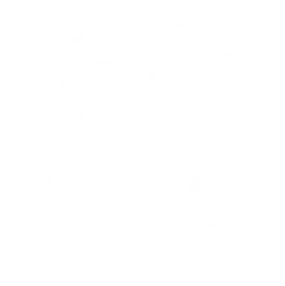 Bike Gear Icon