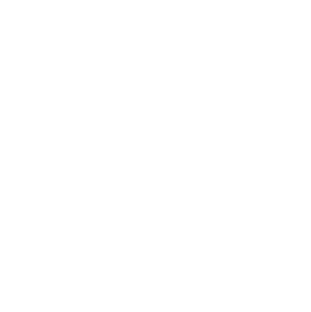 Bike Gear Icon